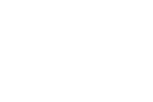 5000 5000